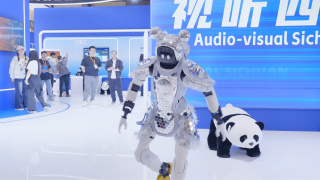 日韩三极片